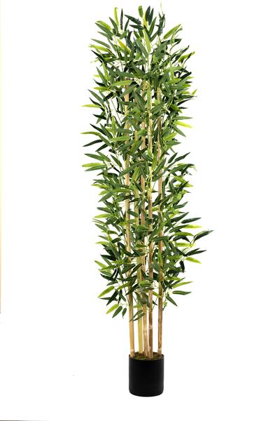 YAPAY ÇİÇEKÇİNİZ 5 Gövdeli Yoğun Yapraklı 150 Cm Yapay Bambu Ağacı