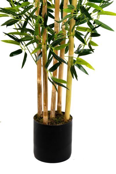YAPAY ÇİÇEKÇİNİZ 5 Gövdeli Yoğun Yapraklı 150 Cm Yapay Bambu Ağacı