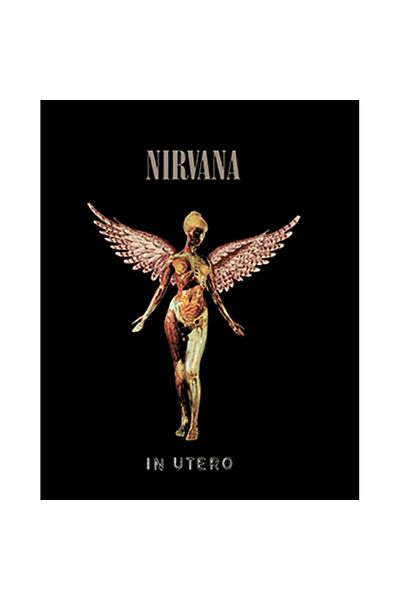 Z zepplin Nirvana In Utero Patch mare pentru spate