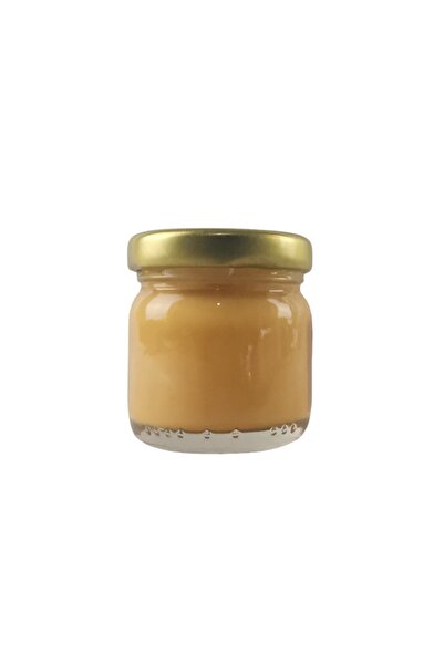 Ümraniye Hobi Sanat Ümraniye Hobi Art Elegant Sır Altı Seramik Çini Boyası 88...