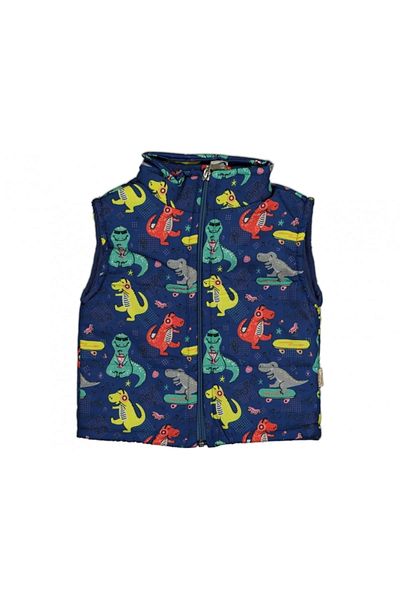 Bluokbeauty Dinosaur Baby Kids Outerwear Dinosaur Vest
