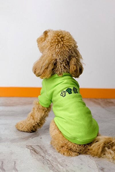Sırt Nakış Işlemeli 3 Iplik Futter Örme Kumaş Köpek Sweatshirt