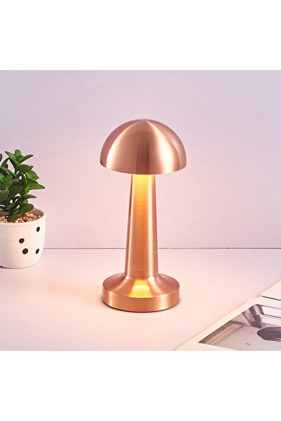 İnformed Usb Şarjlı Dokunmatik Rose Gold Masa Lambası Fl-8054 (3renk)