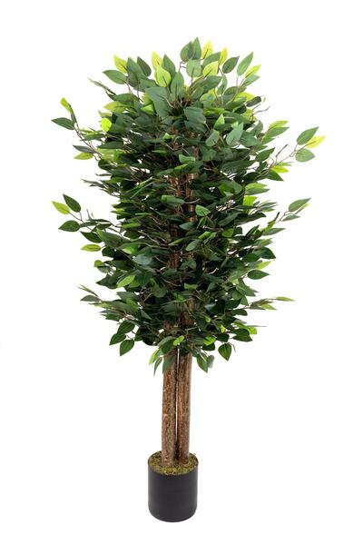 YAPAY ÇİÇEKÇİNİZ Çiçekçiniz Siyah Saksıda Yoğun Yapraklı 150cm Yapay Benjamin Ağacı