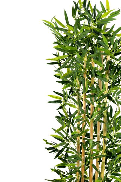 YAPAY ÇİÇEKÇİNİZ 5 Gövdeli Yoğun Yapraklı 150 Cm Yapay Bambu Ağacı