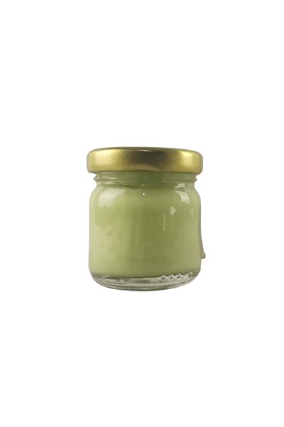 Genel Markalar Sır Altı Seramik Çini Boyası 8825-açık Fıstık Yeşili 40cc