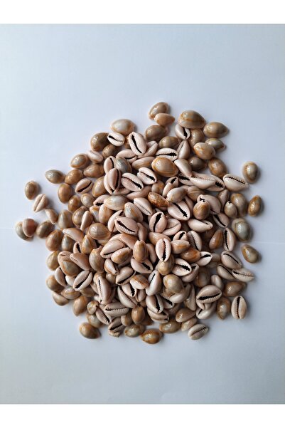 Aktar Store Deve Boncuğu (DELİKSİZ) 500 gr