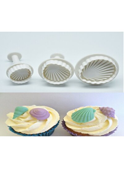 ELGALA Oyster-Sea Shells Shaped Push-Pull Set of 3