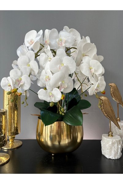 LİLOTEHOME Yapay Luxury Orkide 6 Dal Islak Kırık Beyaz Japon Model Gold Renk ...
