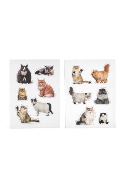 MUSTARD Şişman Kediler Magnet