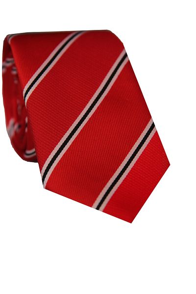 Le Voux Striped Red Color Necktie and Pocket Handkerchief