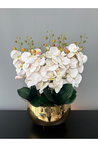 LİLOTEHOME Yapay Luxury Orkide 10 Dal Islak Kırık Beyaz Japon Model Gold Renk...