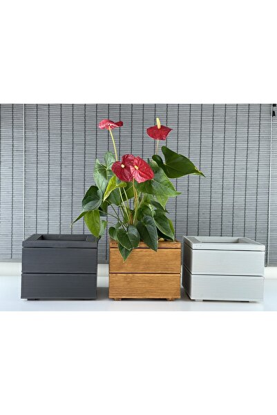 Bahçem Dekoratif Kare Ahşap Saksı 1.sınıf Ithal Çam Iç Saksılı 25x21cm