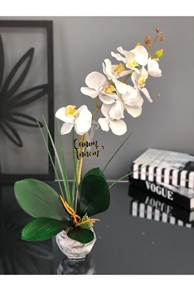 Masalsı Concept En Özel Anneye En Özel Hediye Anneler Günü Hediyesi, Doğum Gü...