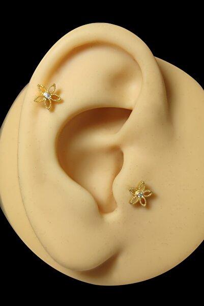 Salyangoz Company Cerrahi Çelik Gold Renk Papatya Model Tragus,helix,kıkırdak...