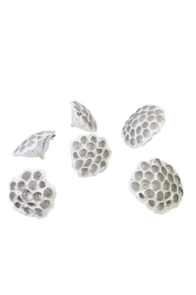 Dekorsende Dried Lotus Silver 12 Li