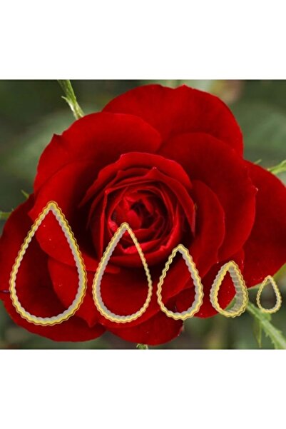 Elit parti مجموعة صنع زهور الورد مكونة من 5 قطع - قالب كوكيز