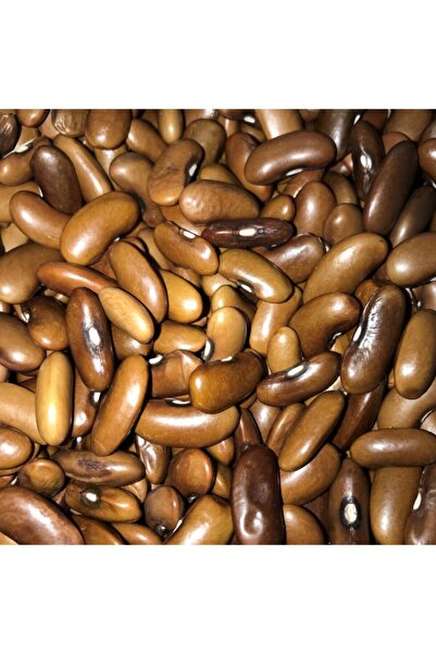 YERLİ MAGNUM OTURAK FASULYE TOHUMU 100 GR