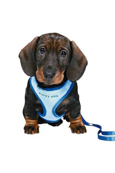 Trixie Kopek Tasmasi