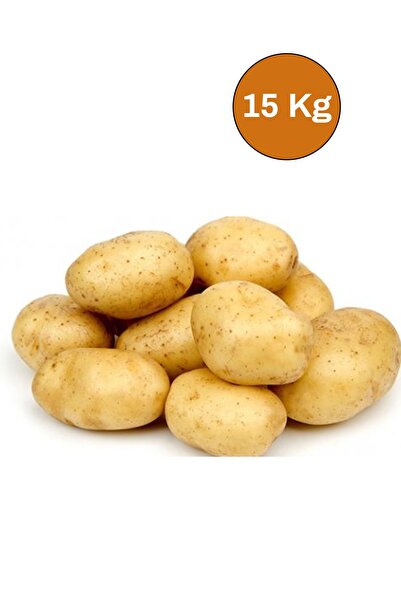 ACELEBOX Afyon Agria Sarı Patates 15 kg