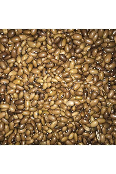 Karahasanoğlu Tarım Yerli Sarıkız Oturak Erken Fasulye Tohumu 100 gr