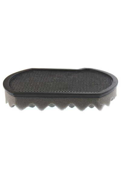 Bosch Bgs 41pet1 - Compatible Sponge Filter, Vacuum Cleaner Dust Container