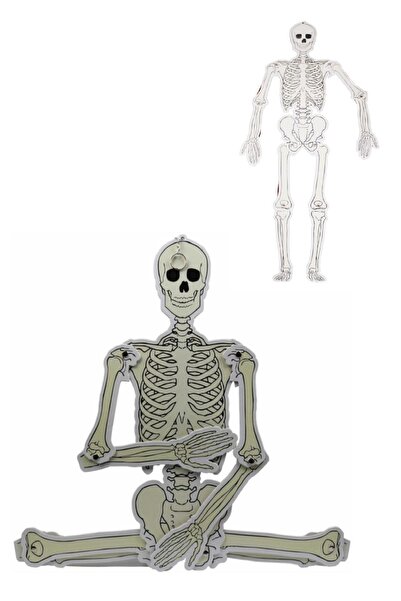 Artlantis Büyük Boy Karton Iskelet Modeli 90 cm 1 Adet