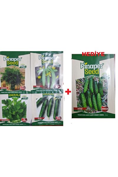 Pinaper Seed Maydanoz Tohumu - Dere Otu Tohumu - Acur Tohumu - Hıyar Tohumu