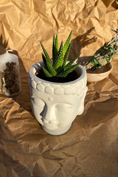 SANAT SEPET İŞLERİ Beyaz Buda Heykel Büst Skulent Saksılık - 8,5 X 9 Cm