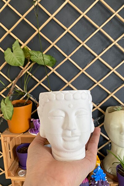 SANAT SEPET İŞLERİ Beyaz Buda Heykel Büst Skulent Saksılık - 8,5 X 9 Cm