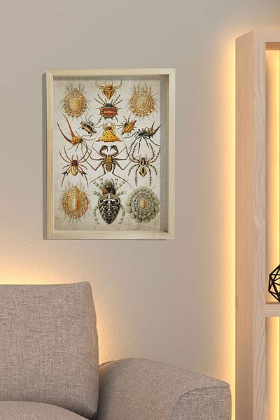 Dekor Loft Ζωγραφική τοίχου με φυσικό πεύκο Arachnida