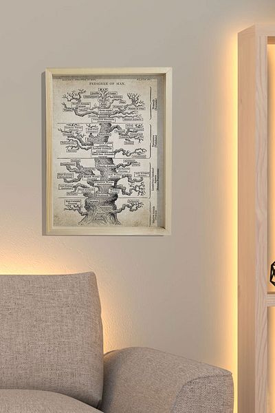 Dekor Loft Pictură de perete cu ramă de pin natural Haeckel Tree Evolution Print
