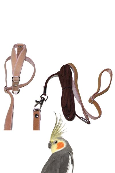 Petcalvit Sultan Cennet Sevda Papağanı Eğitim Uçurma Tasması Sütlü Kahve