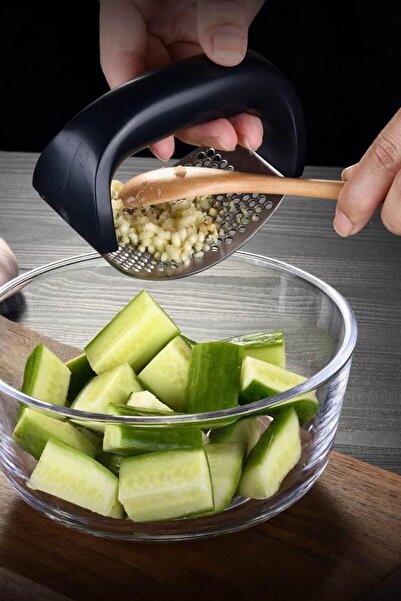 Hanedanev Stainless Steel Garlic Crusher with Ergonomic Handle Garlic Crush