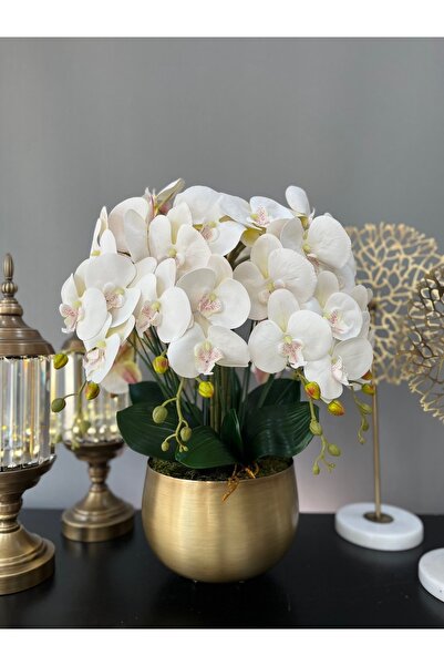LİLOTEHOME Yapay Luxury Orkide 7 Dal Islak Beyaz Japon Model Eskitme Mat Gold...