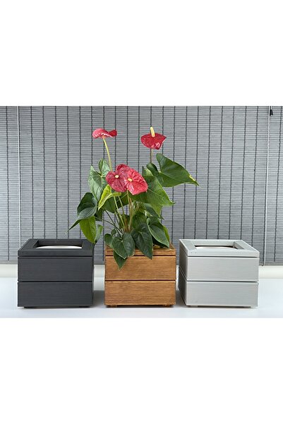 Bahçem Dekoratif Kare Ahşap Saksı 1.sınıf Ithal Çam Teak Iç Saksılı 25x21cm