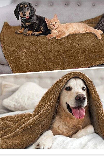 GENÇ MODA Sevimli Kedi Köpek Welsoft Peluş Battaniye
