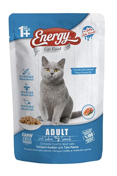Energy Somonlu Yetişkin Islak Kedi Maması