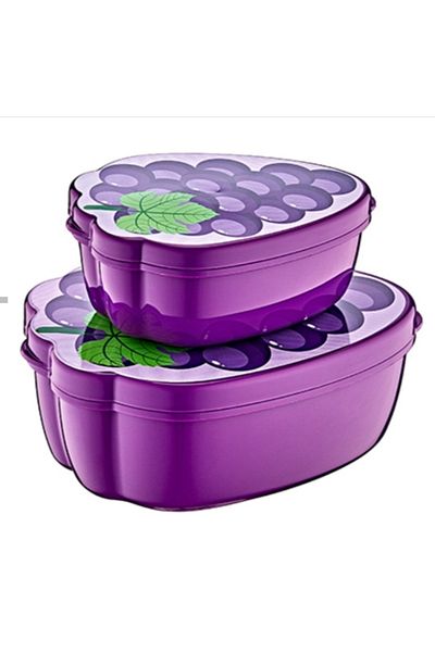 HOBBY LİFE Gree Home 2-piece Funy Storage Container