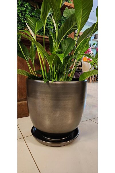 Balcony Flower 40 Cm Exclusive Salon Saksı