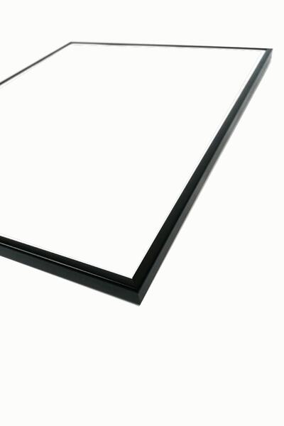 Linacci Üçlü Siyah Alüminyum Metal Çerçeveli Heykel Sanatsal Camlı Poster Tablo Seti