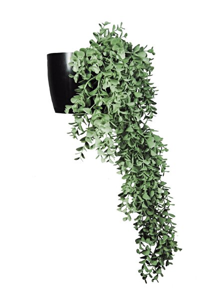 Lilac Home Yapay Çiçek Jumbo Saksılı Pastel Yeşili Okaliptus Şimşir Sarkıtı