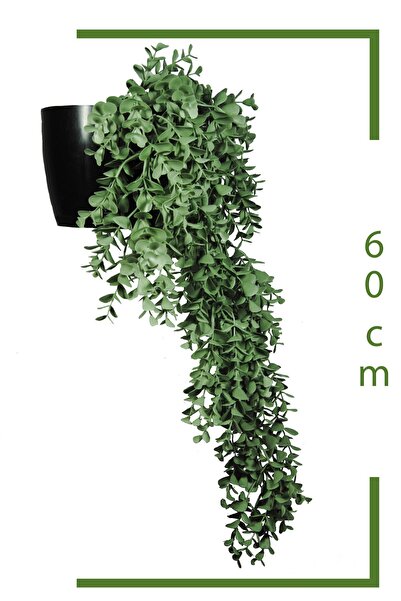 Lilac Home Yapay Çiçek Jumbo Saksılı Pastel Yeşili Okaliptus Şimşir Sarkıtı