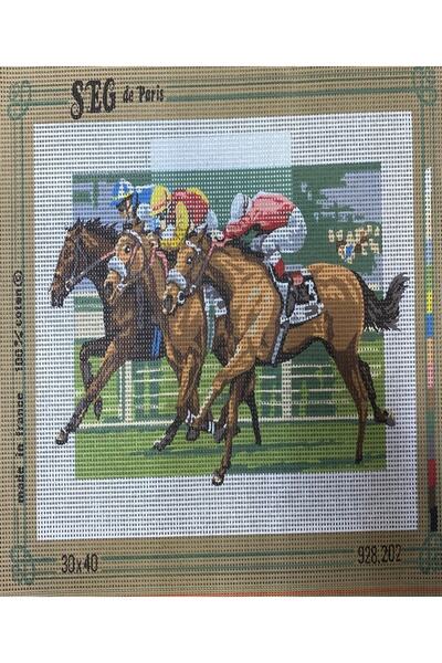 EleganTShoP Tapiserie imprimată Seg De Paris 30*40 928202