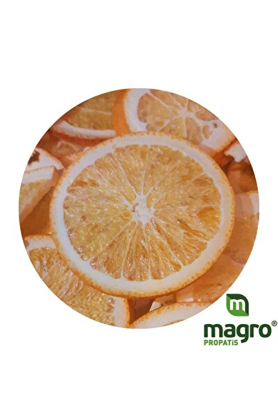 Propatis Magro Portakal Kurusu Dilimleri 100 Gr