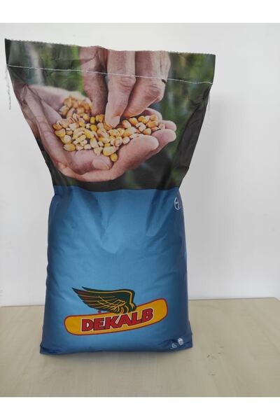 DEKALB Mısır Tohumu Dkc6308