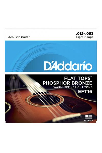 Daddario Eft16 Instrument Wires