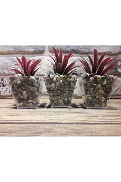 Süs ağacı 3’lü Çakıl Saksıda Yapay Yeşillik Kırmızı 6cm X 10 Cm