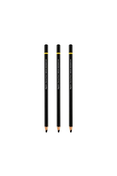 Bigpoint Charcoal Pencil Charcoal Pen (7.2mm X 175mm) Set of 3 Medium