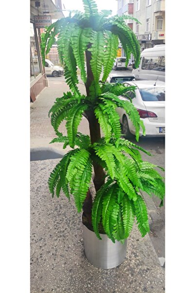 RUZGARCİCEK Rüzgar Çiçekcilik 170 Cm Boyunda Aşk Merdiveni